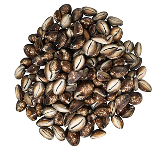 1 kilo Bolsa de Conchitas Pure Cafe Variedad De Tamaños
