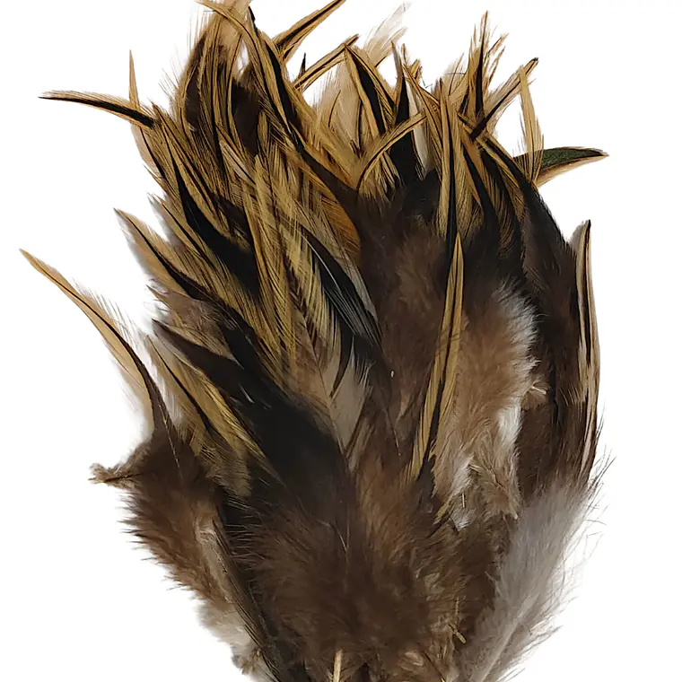 bolsa 100 Plumas beige Claro con negro 10 a 12 Cm punta 3