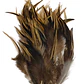 bolsa 100 Plumas beige Claro con negro 10 a 12 Cm punta - Miniatura 3