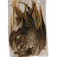 bolsa 100 Plumas beige Claro con negro 10 a 12 Cm punta - Miniatura 4