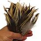 bolsa 100 Plumas beige Claro con negro 10 a 12 Cm punta - Miniatura 5