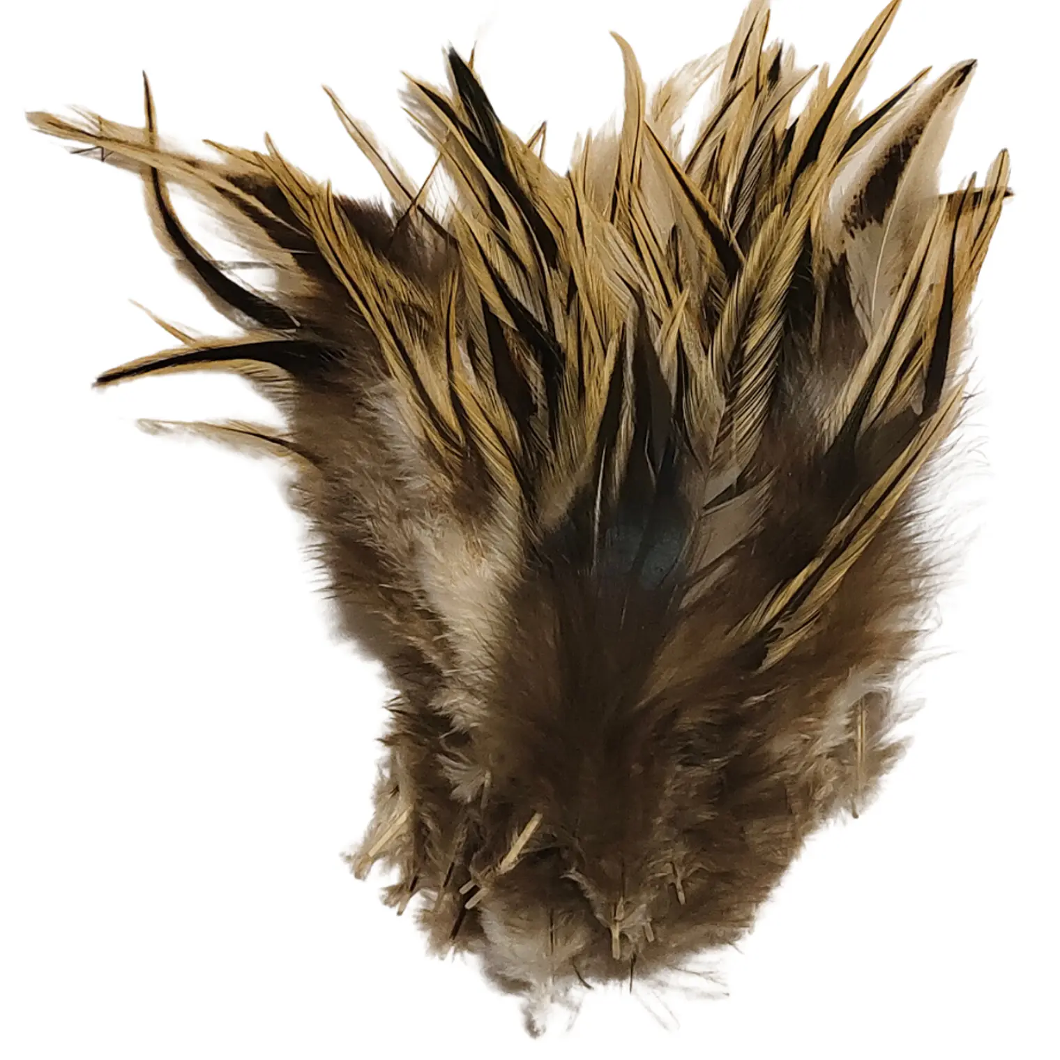 bolsa 100 Plumas beige Claro con negro 10 a 12 Cm punta 6
