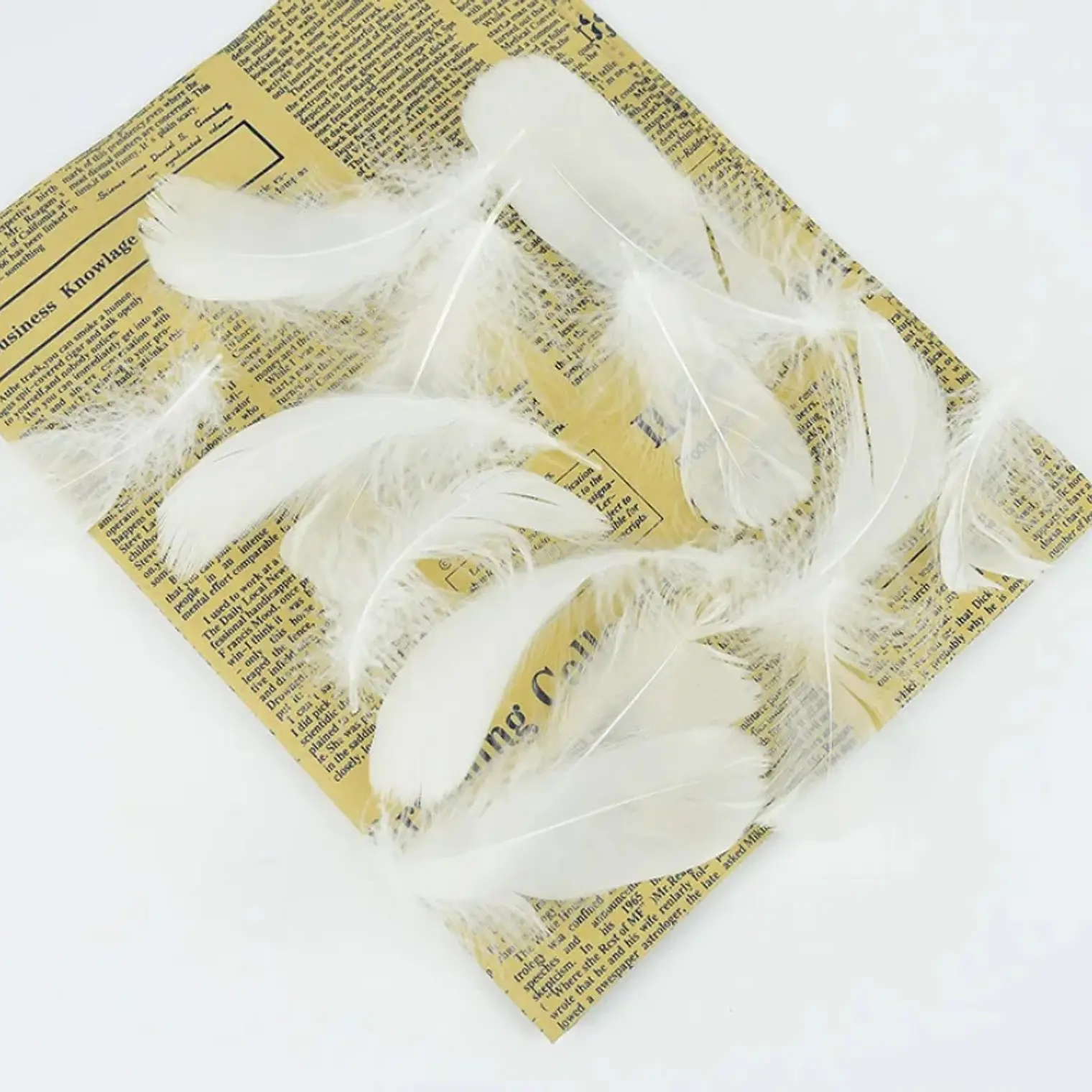 Bolsa con Plumas Blancas entre 4 y 8cm Para artesania 3