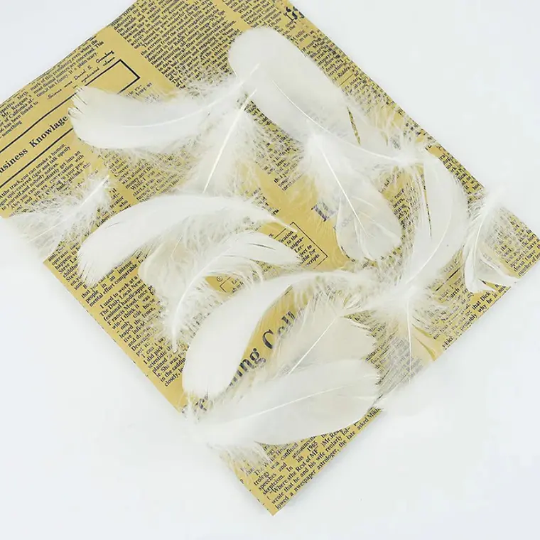 Bolsa con Plumas Blancas entre 4 y 8cm Para artesania 3