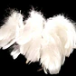 Pack 10 Bolsas Plumas Blancas Para Accesorios Y Vestuario - Miniatura 5