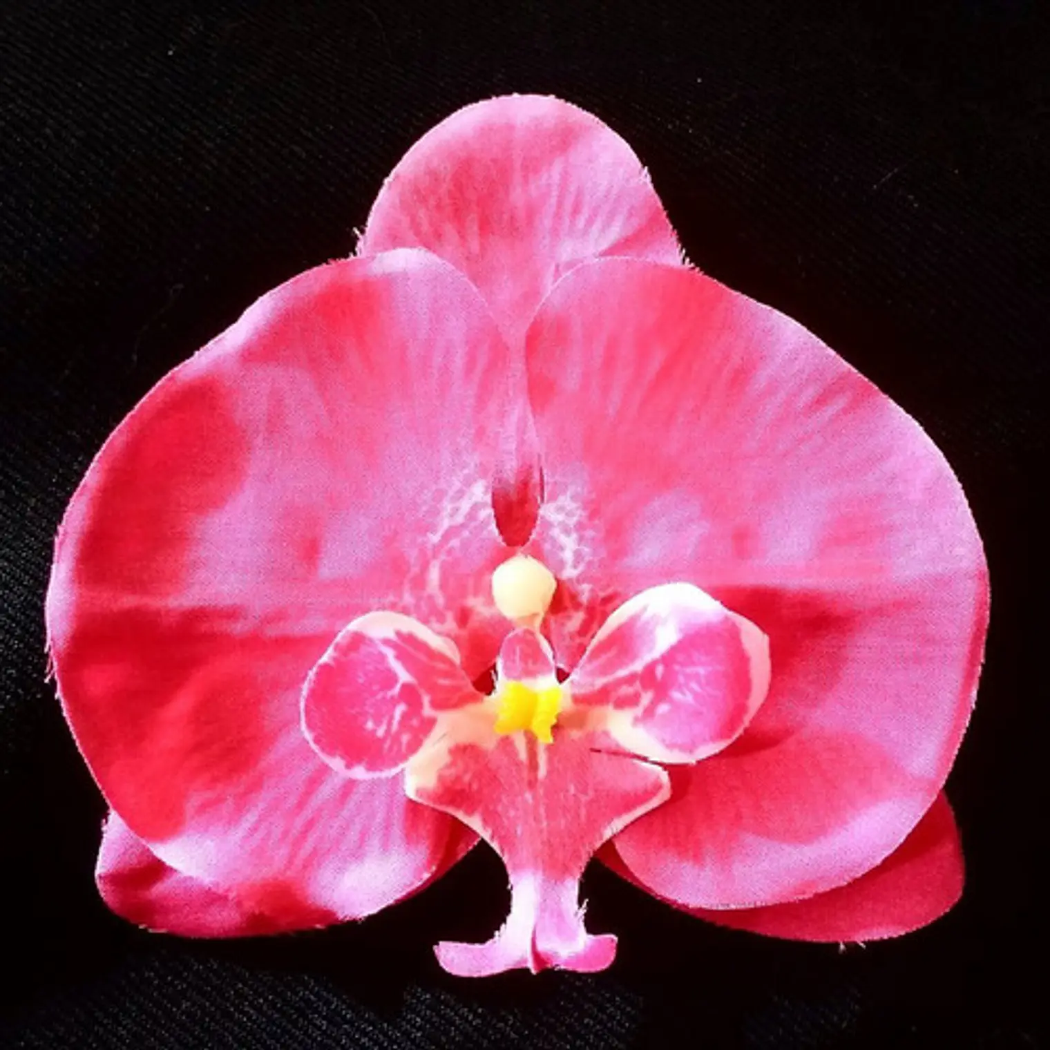 pack 10 Flores Polinesicas Orquidea fucsia Con Pinza 3