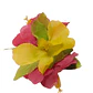 Flor Pinza metalica 3 Hibiscos Fucsia / Amarillo de tela Para El Cabello - thumbnail 2