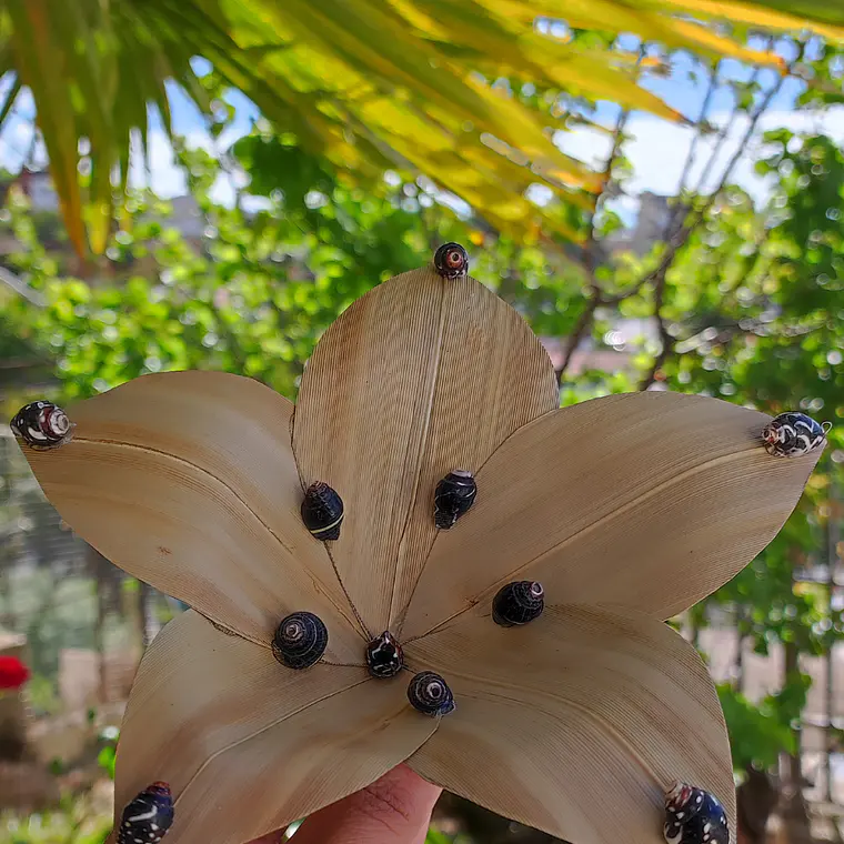 Flor Pandanus Con conchitas negras Para El Cabello 3