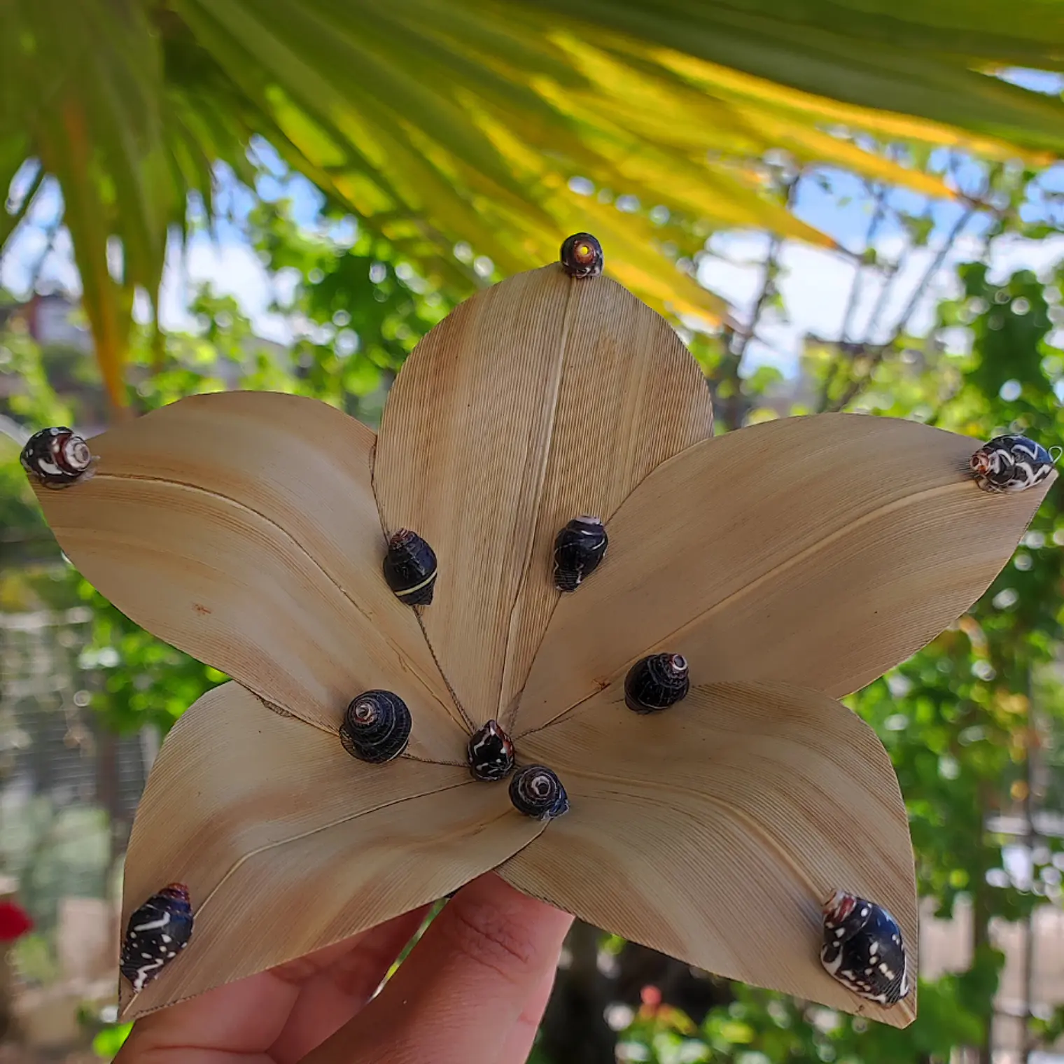 Flor Pandanus Con conchitas negras Para El Cabello 4