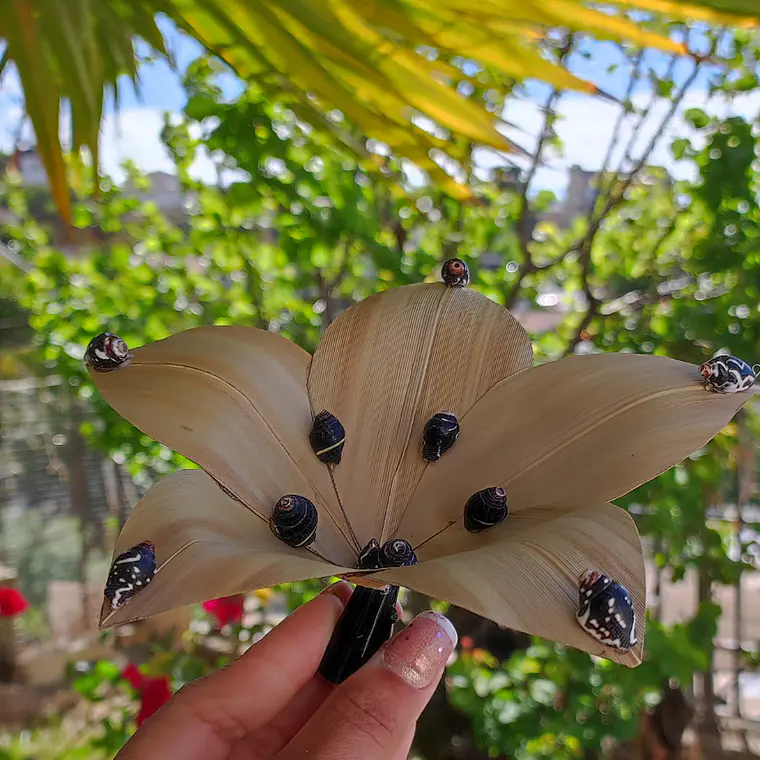 Flor Pandanus Con conchitas negras Para El Cabello 6