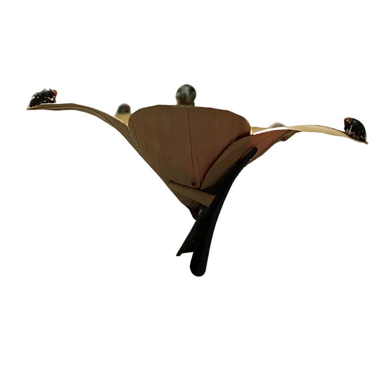 Flor Pandanus Con conchitas negras Para El Cabello 11