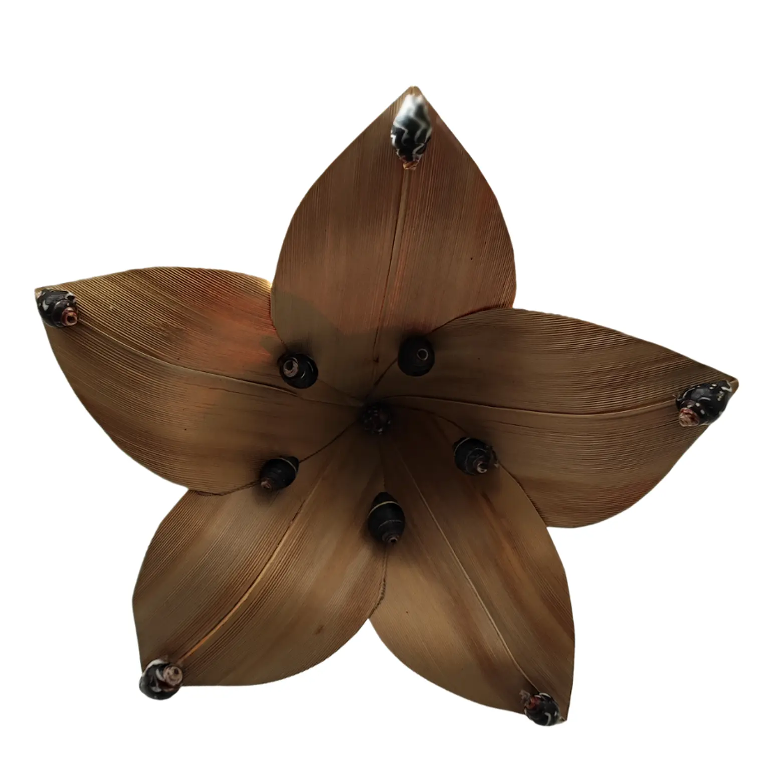 Flor Pandanus Con conchitas negras Para El Cabello 12