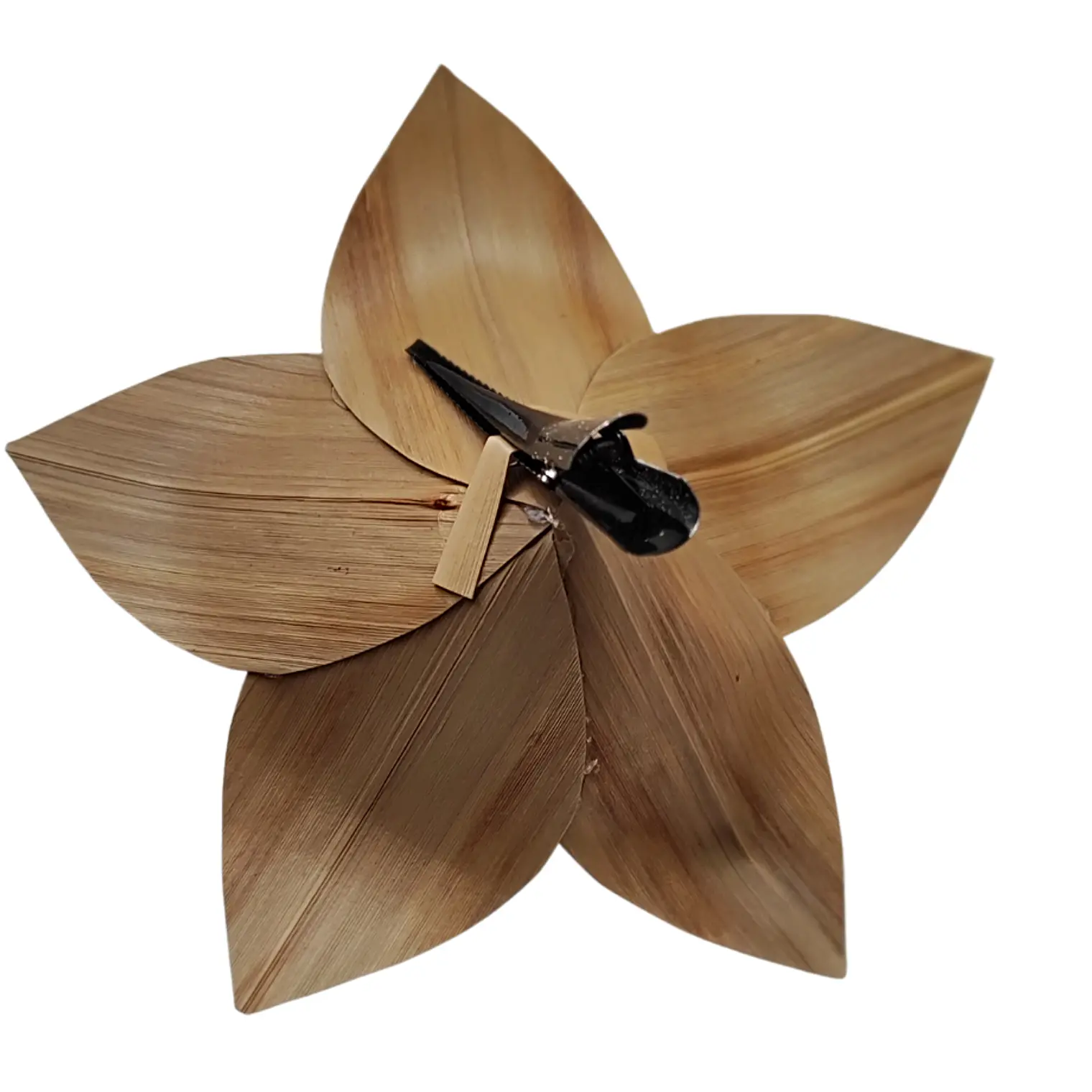 Flor Pandanus Con conchitas negras Para El Cabello 13