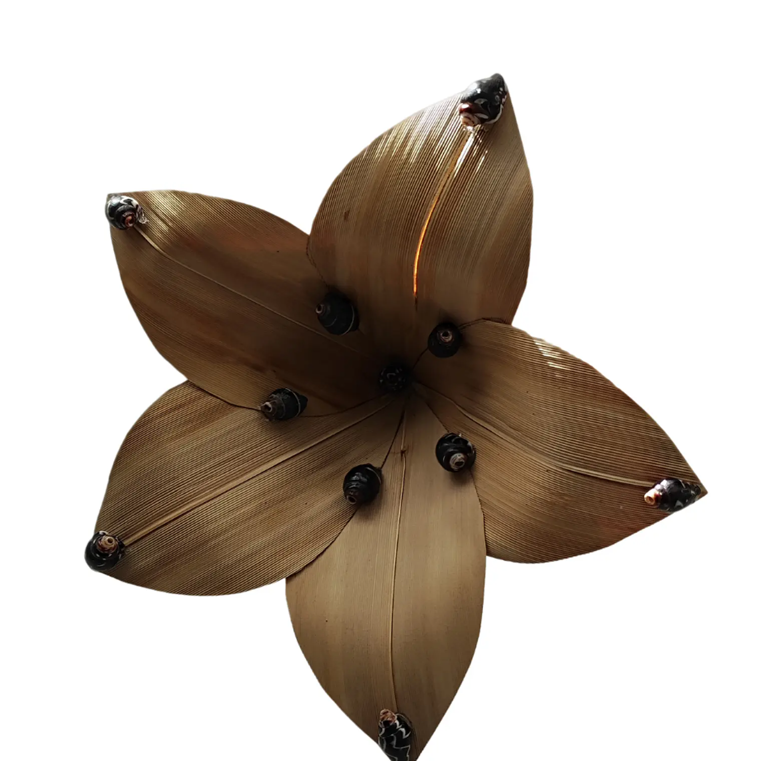 Flor Pandanus Con conchitas negras Para El Cabello 14