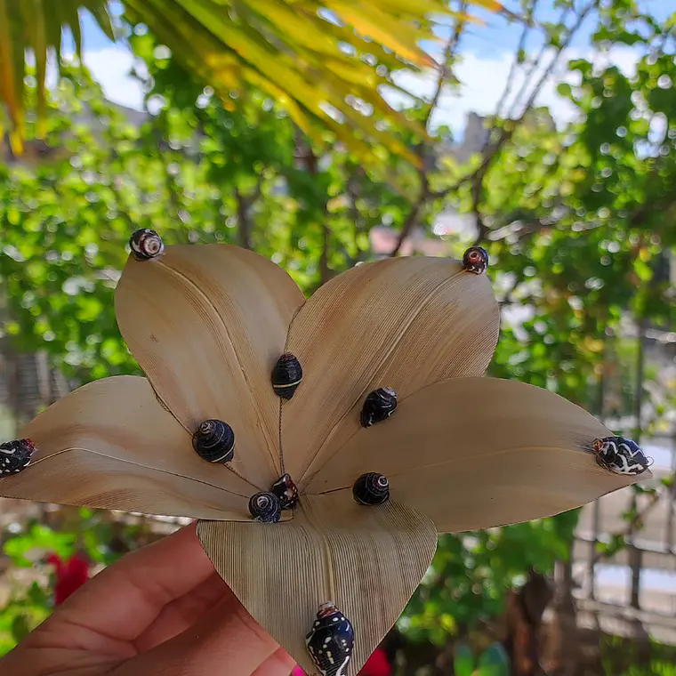 Flor Pandanus Con conchitas negras Para El Cabello 19