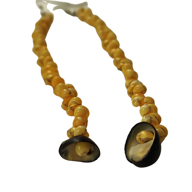 Aros largos con conchitas pipi amarillo 4