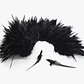 Moño Plumas Negro 10 a 12cm - thumbnail 2