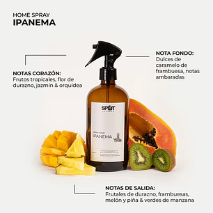 Spray Home Ipanema LH 500ml Spot Essence
