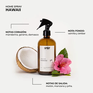 Spray home Hawaii LH 500 ml