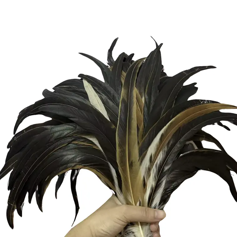 pack 50 Plumas Largas Color Café Natural 25cm a 30cm 1