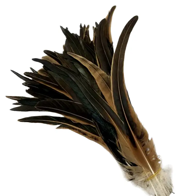 pack 50 Plumas Largas Color Café Natural 25cm a 30cm 2