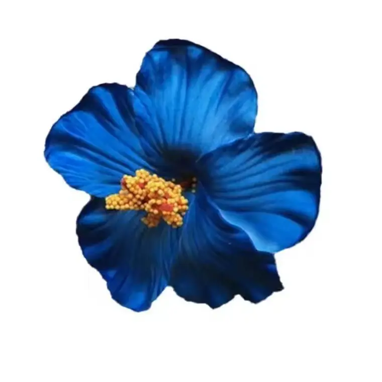 Flor Hibisco Azul con pinza para el cabello 1