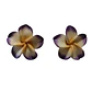 Aros con tornillo Tipanie Lila Con blanco diámetro 3,5cm - thumbnail 2