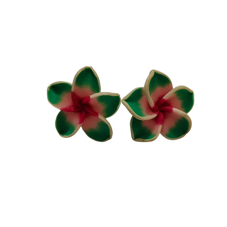 Aros Tipanie verde claro Con fucsia diámetro 2,5cm 3
