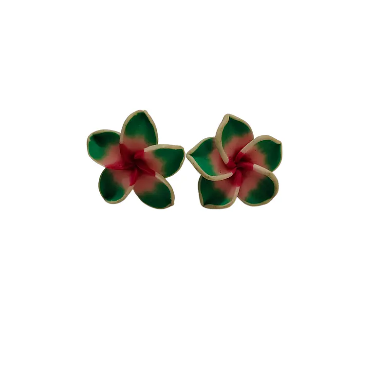Aros Tipanie verde claro Con fucsia diámetro 2,5cm 4