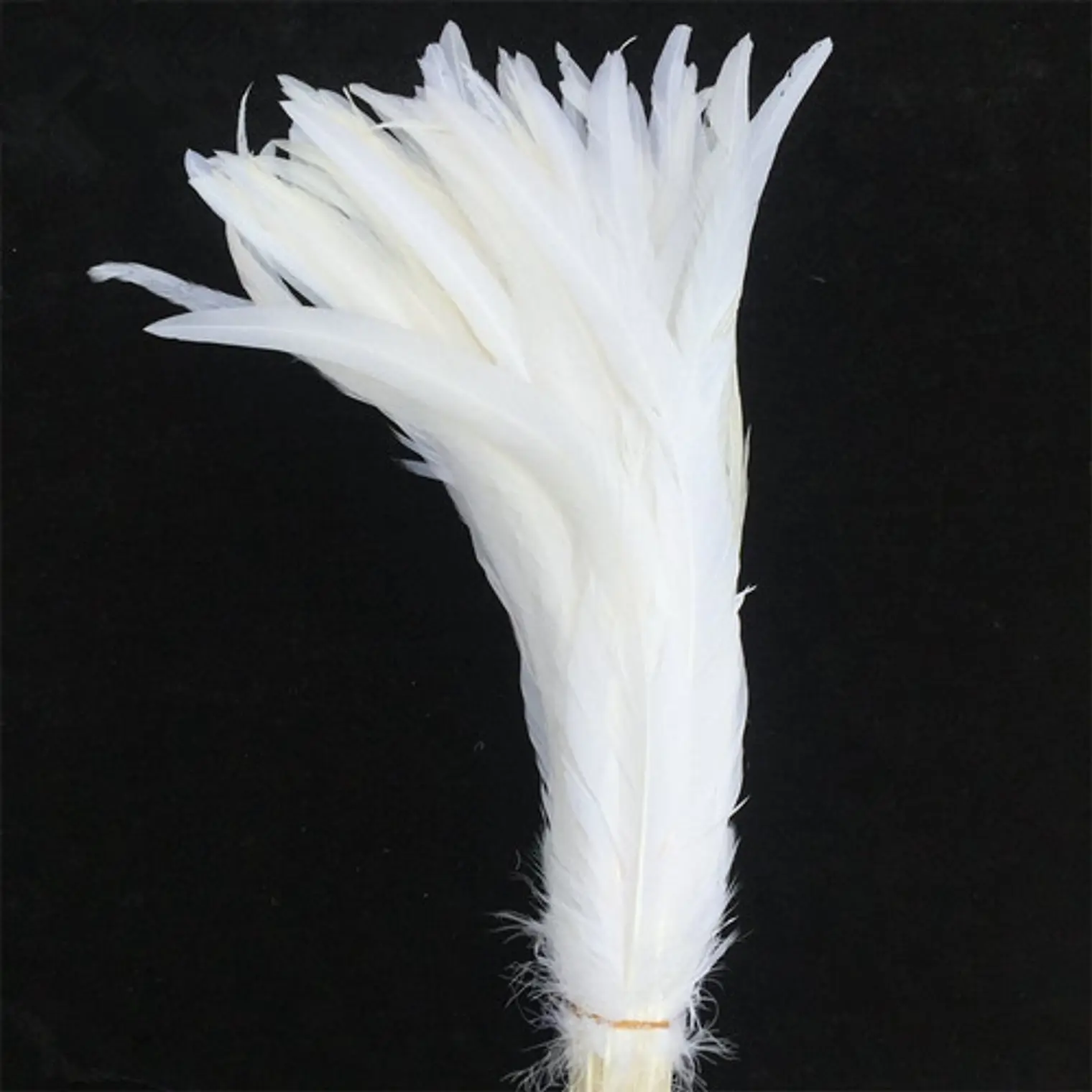Pack 100 aprox. Plumas vaero Largas Blancas 20 A 25cm 3