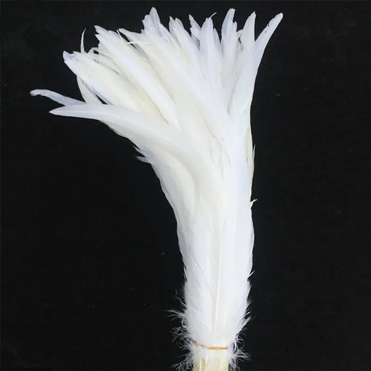 Pack 100 aprox. Plumas vaero Largas Blancas 20 A 25cm 3
