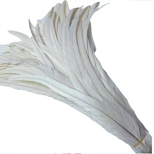 Pack 100 aprox. Plumas vaero Largas Blancas 20 A 25cm