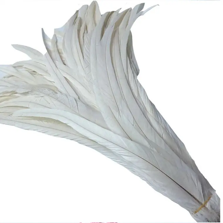 Pack 100 aprox. Plumas vaero Largas Blancas 20 A 25cm 2