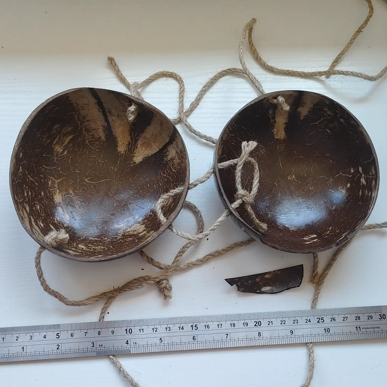 Sosten De Coco Liso 12,5cm quebrado en uno de los bordes Ideal Para Danza Polinesica 2
