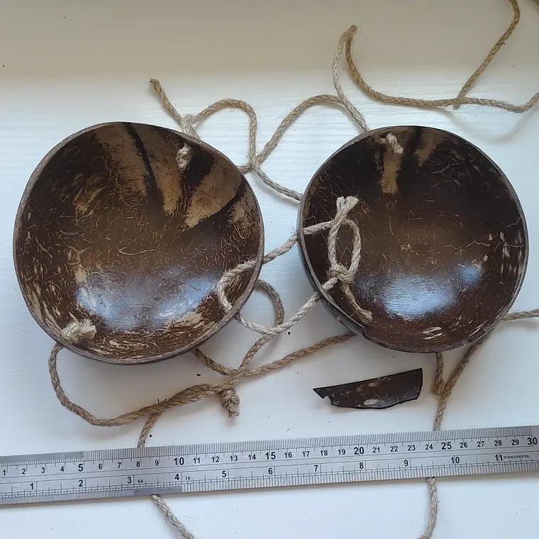 Sosten De Coco Liso 12,5cm quebrado en uno de los bordes Ideal Para Danza Polinesica 2