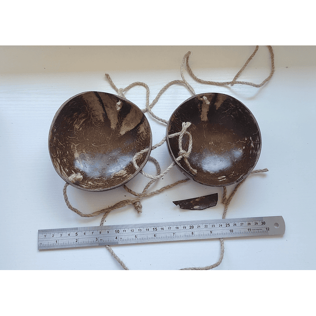 Sosten De Coco Liso 12,5cm quebrado en uno de los bordes Ideal Para Danza Polinesica