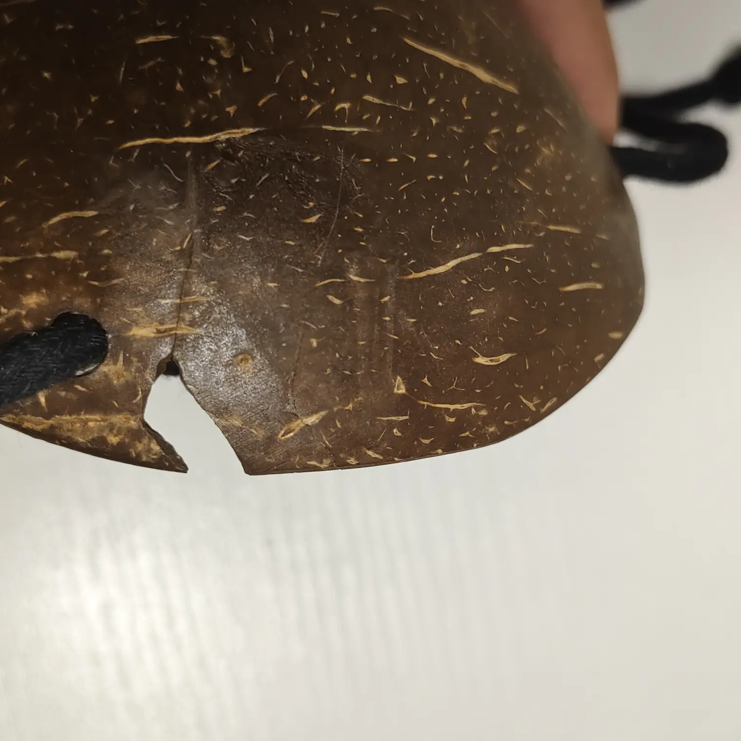 Sosten De Coco conchitas 10,5CM un borde quebrado Ideal Para Danza Polinesica 4