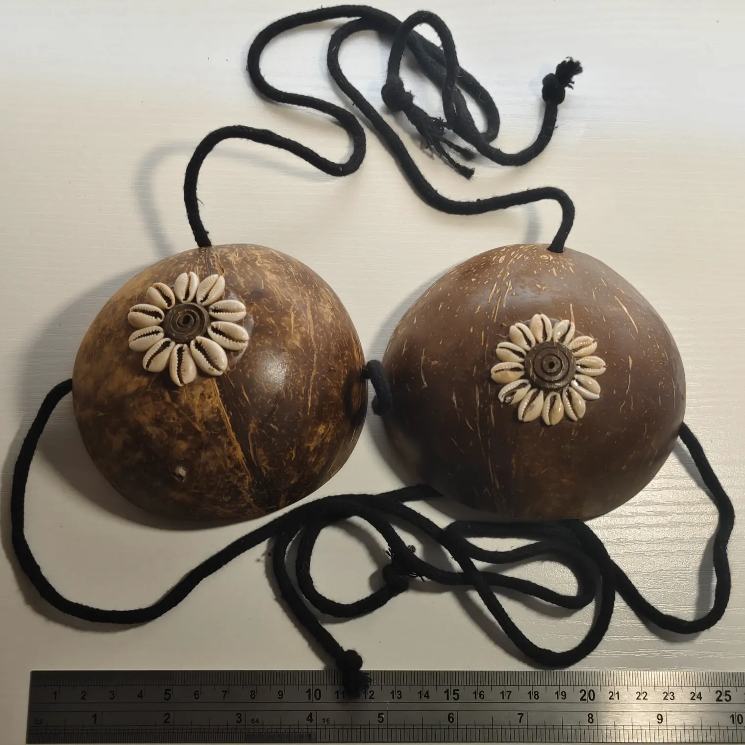 Sosten De Coco conchitas 10,5CM un borde quebrado Ideal Para Danza Polinesica 1