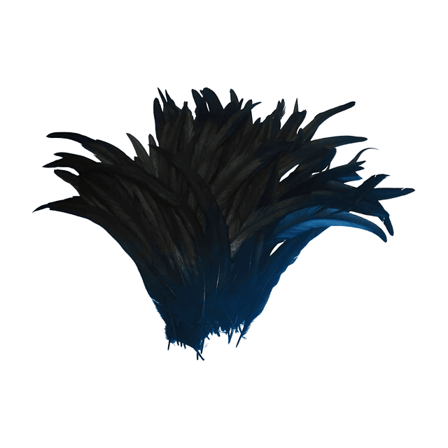 Pack 100 Plumas aprox. Largas Negro Entre 20 y 25cm