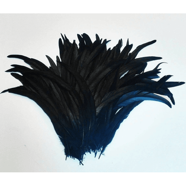 Pack 100 Plumas aprox. Largas Negro Entre 20 y 25cm