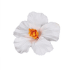 Pack 5 Flor Hibisco blanco con pinza para el cabello