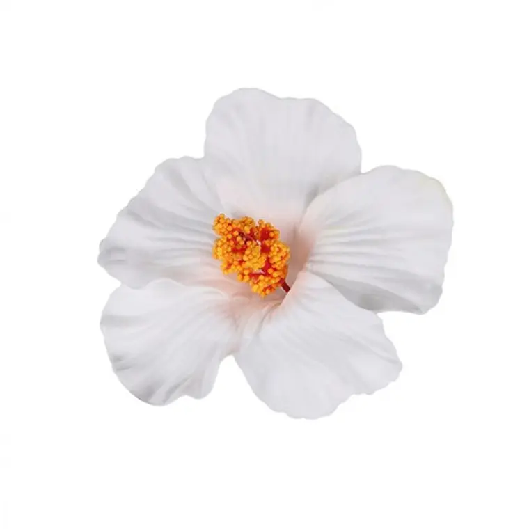 Pack 5 Flor Hibisco blanco con pinza para el cabello 1