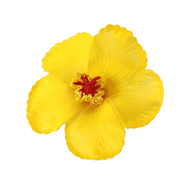 Pack 10 Flor Hibisco amarillo con pinza para el cabello
