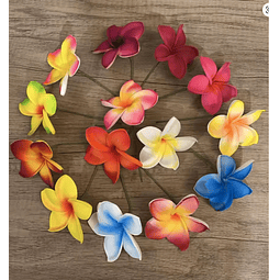 Pack 10 flor Tipanie variedad colores para Cabello Con Palito