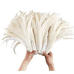 Pack 100 Plumas Vaero beige Largo 20 A 25cm