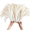 Pack 100 Plumas Vaero beige Largo 20 A 25cm