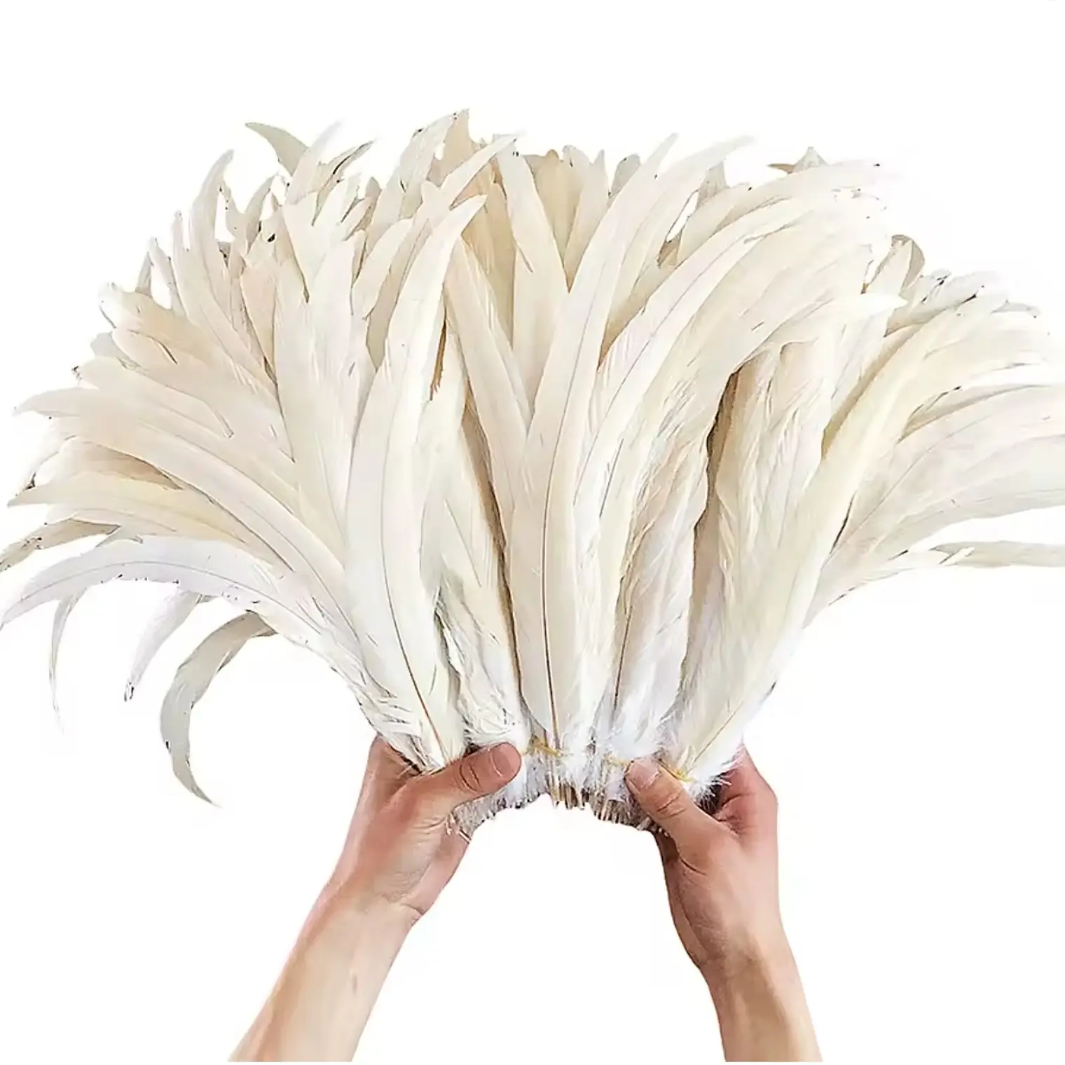Pack 100 Plumas Vaero beige Largo 20 A 25cm 1