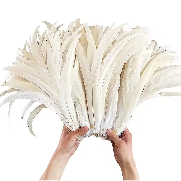 Pack 100 Plumas Vaero beige Largo 20 A 25cm 1