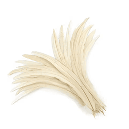 Pack 10 Plumas Vaero beige Largo 20 a 25cm