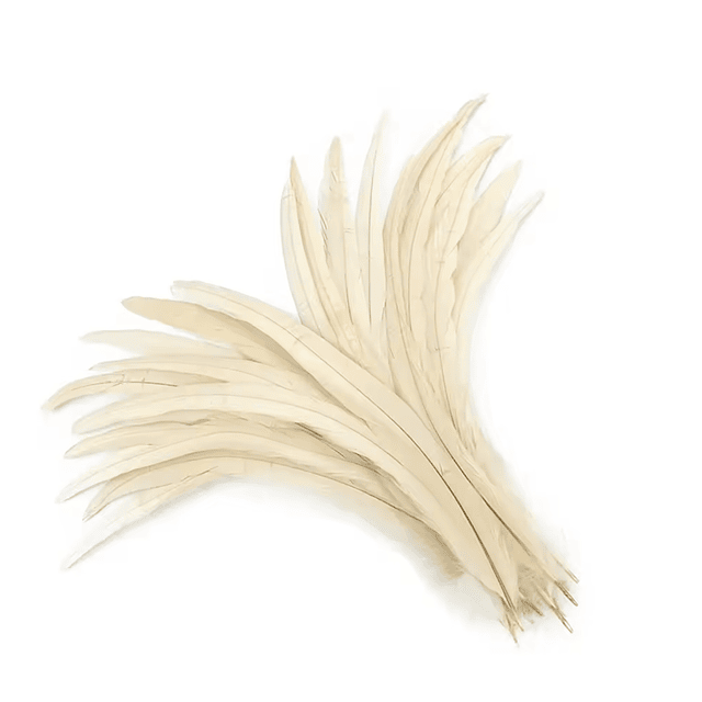 Pack 10 Plumas Vaero beige Largo 20 a 25cm